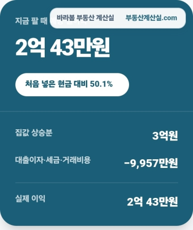 집값 상승분 3억 원에서 대출이자·세금·거래비용을 뺀 예상 실이익 2억 43만 원 계산 결과